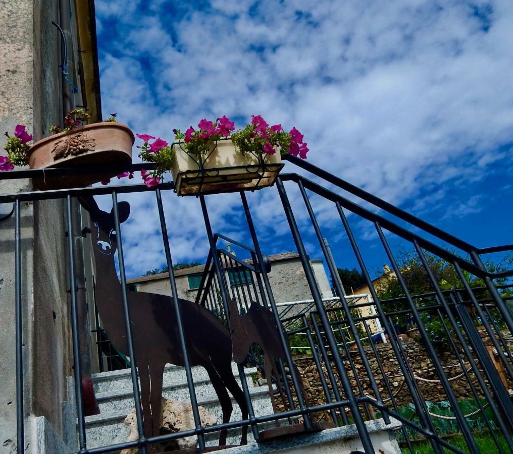 Le Giuee Hotel Генуа Екстериор снимка